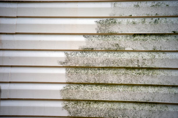 How To Choose The Right Materials for Your Siding Installation in 'Cherry Hill, VA